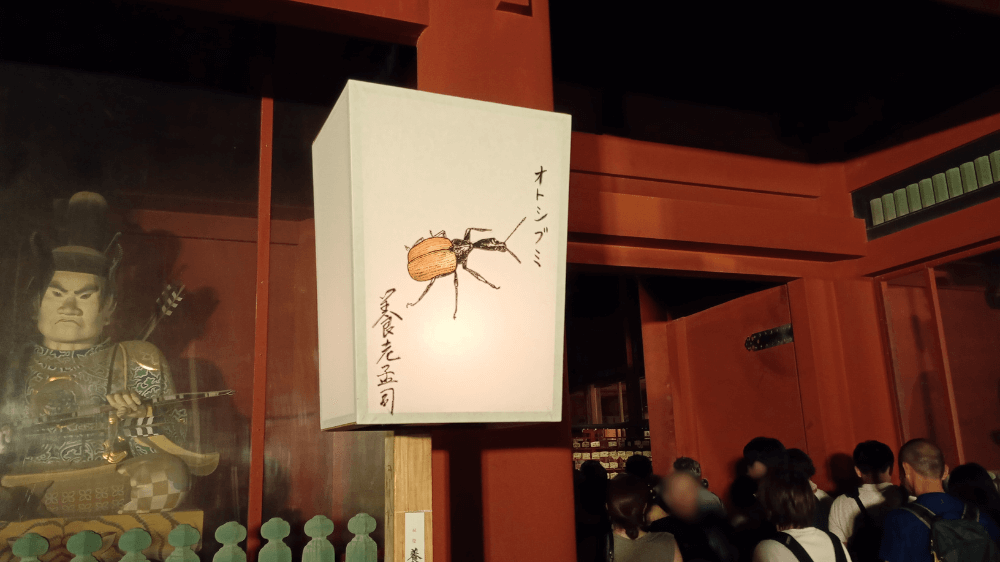 養老孟司ぼんぼり